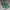 Asics Streetwear Casual Sneakers Pria Green