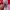 Casual Jersey Pria red photo 4