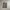 Carhartt Streetwear Casual pants Pria tan photo 1