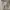 Carhartt Streetwear Casual pants Pria tan photo 5