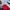 Dunlop Grunge Indie Polo shirt Pria red photo 4