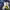 Umbro Sportswear Jersey Pria green navy photo 8