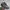 New Balance Casual Sneakers Pria green gray photo 1