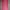Other Wanita pink photo 4
