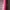 Other Wanita pink photo 3