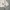 OLIVE des OLIVE Gorpcore Puffer jacket Wanita cream photo 2