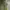 Adidas Sportswear Sweatpants & Joggers Pria green photo 4