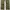 Uniform Bridge Casual Casual pants Pria green photo 3