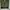 Uniform Bridge Casual Casual pants Pria green photo 4