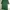 Vintage Wanita green photo 1