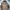 Gorpcore Puffer jacket Pria brown photo 3