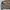 Gorpcore Puffer jacket Pria brown photo 6