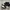 Nike Casual Sneakers Kids white black photo 1