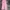 Adidas Sportswear Sweatpants & Joggers Wanita pink photo 4