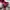 Casual Windbreaker Wanita red pink photo 6
