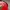 Umbro Sportswear Jersey Pria white red photo 5