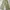 Casual Casual trouser Wanita green photo 1