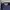 Lacoste Sportswear Track jacket Pria navy photo 2