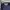 Lacoste Sportswear Track Jacket Pria Navy