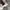 Champion Sportswear Sweatpants & Joggers Pria white photo 5