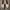 Cat n Jack Casual Sneakers Wanita navy photo 6