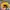 Streetwear Skater Hat Pria Yellow