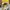 Streetwear Skater Hat Pria yellow photo 4