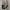 Nike Sportswear Sneakers Pria gray photo 5