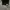 thisisneverthat Streetwear Skater Sweatshirt Pria black photo 4
