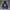 Dickies Casual Hoody Pria navy photo 1