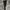 Nike Sportswear Sweatpants & Joggers Pria black photo 2