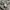 Umbro Streetwear Sportswear Sweatshirt Pria gray photo 8