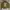 Vintage Y2K Sweatshirt Pria Green