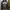 Streetwear Hoody Pria multicolor photo 4