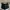 Chanel Y2K Luxury Handbag Wanita black photo 2