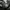 Chanel Y2K Luxury Handbag Wanita black photo 3