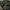 Chanel Y2K Luxury Handbag Wanita black photo 7