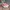Converse Streetwear Casual Sneakers Wanita white pink photo 4