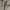 Casual Track jacket Pria gray photo 8