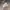 Converse Streetwear Casual Sneakers Pria white tan photo 4