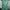 Polo Ralph Lauren Casual Sweater Pria green photo 1
