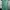 Polo Ralph Lauren Casual Sweater Pria Green
