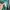 Polo Ralph Lauren Casual Sweater Pria green photo 3