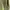 Blackyak Sportswear Track jacket Pria green photo 3
