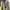 Blackyak Sportswear Track jacket Pria green photo 2