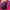 Sportswear Wanita pink photo 6