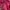 Kolon Sport Sportswear Wanita pink photo 7