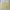 Streetwear Minimalist Crop top Wanita yellow photo 1