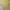 Streetwear Minimalist Crop top Wanita yellow photo 2