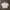 Wilson Casual Track jacket Pria white photo 1